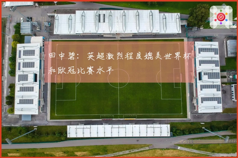 田中碧:英超激烈程度媲美世界杯和欧冠比赛水平
